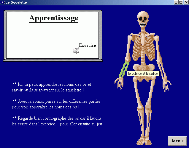 Apprentissage de l'anatomie du squelette